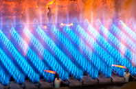 Carlton Purlieus gas fired boilers